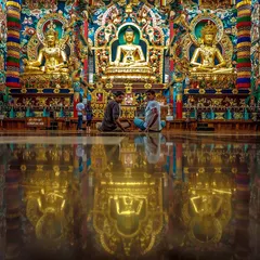 Reflecting on a visit to the Golden Monastery in 2015. My path has been deeply influenced by both my Ashtanga practice with Sharath Jois in Mysore and my studies in Buddhism, which infuse my teaching with compassion and peace.