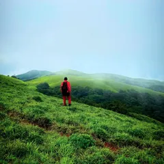 Making my way up a misty trail in the Bandaje region. The path itself is an adventure, surrounded by dense greenery.