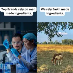 This image perfectly captures our philosophy. While many brands rely on lab-created, man-made ingredients, we put our trust in the power of the earth, sourcing directly from our organic farm.