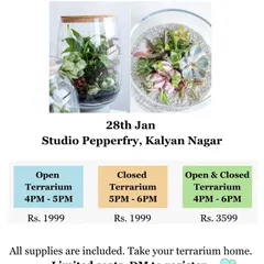An exclusive open and closed terrarium workshop at Studio Pepperfry. This flyer shows the different options available, including a discounted rate for attending both sessions.