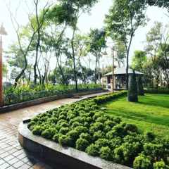 This is a view of a large park project I designed and installed. The space features manicured lawns, curated plant beds with sculpted shrubs, and winding paved pathways that invite exploration, all framed by mature trees.