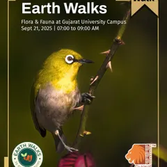 An Oriental White-eye peeks from a thorny branch in this poster for our Ahmedabad Earth Walk. These walks highlight the hidden biodiversity within city spaces like the Gujarat University Campus, making nature accessible to everyone.