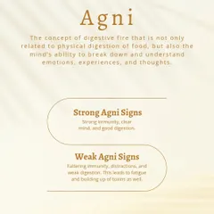 Agni is our 'digestive fire', but it governs more than just food. It is our ability to process emotions, experiences, and thoughts. Strong Agni leads to a clear mind and strong immunity, while weak Agni can cause fatigue and toxin buildup.