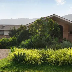 The morning sun highlights the varied textures of the planting at the entrance of this Alibaug villa. I used a mix of bright green groundcover and taller, architectural plants to create a layered and visually interesting welcome.