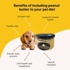 This graphic explains the many benefits of including my pet-safe peanut butter in your dog's diet. It's nutrient-rich, full of healthy fats, supports muscle health, and is a tasty, valuable treat.
