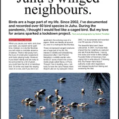 The opening page of my feature story in Sanctuary Asia magazine. Seeing my photos and words in print, telling the story of Juhu's winged neighbors, was an incredibly proud and rewarding moment.
