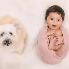 Sometimes the little boss is awake for the shoot! This photo captures a curious newborn and their furry sibling side-by-side.