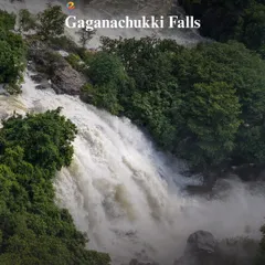 A close-up view of the powerful Gaganachukki Falls, one of the key attractions on our Shivanasamudra day trip.