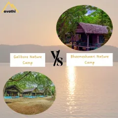 Can't decide between Galibore and Bheemeshwari? Galibore is more secluded and rustic, perfect for hardcore nature lovers, while Bheemeshwari offers more adventure activities. I can help you choose based on your style.