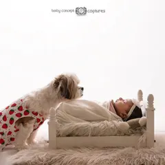 Another adorable moment from the same newborn and pet photoshoot. The dog's curious and gentle gaze towards the baby in the miniature bed creates a story of a new friendship beginning.