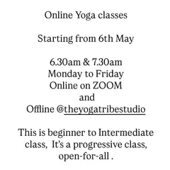 Our morning batches are open for all, whether you want to join online via Zoom or offline at our Andheri studio. It's a progressive class, so everyone is welcome.
