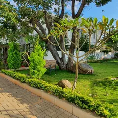 A tranquil corner of a garden I maintain, featuring a simple wooden bench nestled under mature trees. My service includes caring for established trees, maintaining hedges along pathways, and ensuring the lawn remains healthy and green.