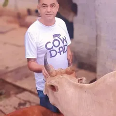 Yes, I’m a Cow Dad. My love for animals doesn't stop with dogs and cats. We take in any creature that needs help, which is what makes our family so special. This is Marley, one of our resident bulls.