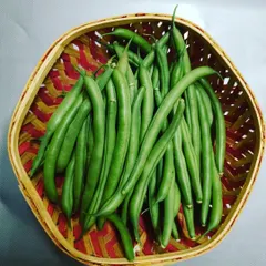 A basket of crisp green beans, harvested on a Saturday and ready for delivery. We ensure our produce is picked at its peak for the best texture and flavor.