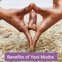 This is a close-up of Yoni Mudra, a hand gesture that symbolizes the womb and invokes primal creative energy. Practicing this mudra helps to calm the mind and draw your awareness inward, making it a wonderful tool for meditation and relaxation.