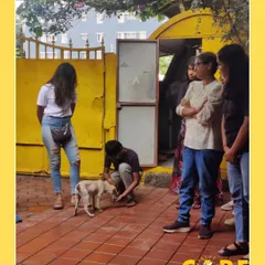 A live demonstration during the "From Rescue to Home" workshop. Here, participants observe gentle techniques for interacting with a young pup, learning how to build trust and assess behavior in a shelter environment.