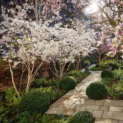 A beautiful flagstone path winds through a garden filled with flowering cherry blossom trees and spherical shrubs. The path invites a gentle stroll and complements the romantic, woodland planting style.