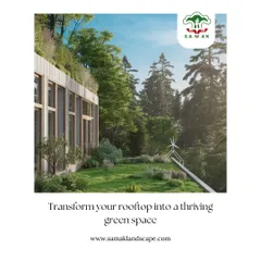 This graphic illustrates our vision for transforming rooftops into thriving green spaces. A rooftop garden not only adds beauty and usable space but also provides environmental benefits like improved air quality and reduced urban heat.