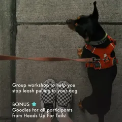 This graphic promotes our popular group workshop focused on stopping leash pulling. Held at a local pet store in HSR Layout, it's a hands-on session that includes a group walk and goodies for all participants.