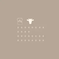 The foundation of the KO.KA brand identity. We developed a set of custom icons and patterns that draw from the brand's story, creating a unique visual language that can be used across all their assets, from digital to print.