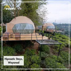 Escape to a different world in these luxury geodesic domes in Wayanad. I find these unique stays that offer modern comfort right in the middle of nature, perfect for when you want to unplug and wake up to stunning views of tea estates.