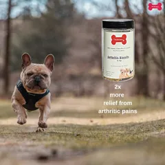 See your dog run with joy again. My Arthritis Biscuits are formulated to provide twice the relief from arthritic pains compared to standard treats, thanks to their natural, human-grade antioxidant properties.