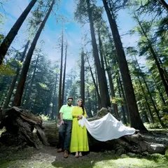 A wide-angle shot capturing the couple amidst towering pine trees in a sunlit forest. This style of photography emphasizes the scale and majesty of nature in your love story.