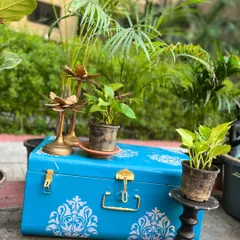Your decor can be both beautiful and functional. Here, we've used a vintage-style painted trunk as a unique plant stand, adding a pop of color and character to this outdoor plant arrangement.