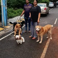 Here we are on one of our daily walks. We make sure all the pups get plenty of exercise and fresh air, exploring the neighborhood together. It's a great pack activity that helps them bond and burn off energy.