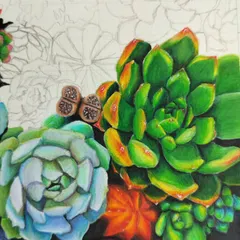 A close-up of the succulent drawing, focusing on the green and yellow plants and the tiny, detailed lithops.