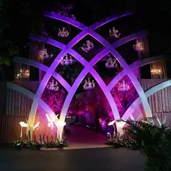 The entrance to your event should make a statement. For this wedding, I designed a magnificent arched structure with dramatic purple lighting and elegant chandeliers, creating a regal and unforgettable first impression for every guest.