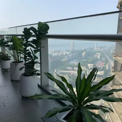 This is a look at a high-rise balcony project in Worli, where I used a series of modern white planters to create a clean, elegant green space. The plants were chosen to withstand the wind and sun exposure while framing the incredible city and sea view.