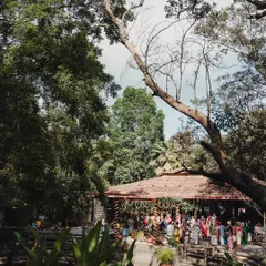 A high-angle view of a ceremony in progress at the Pond Pavilion, capturing the gathering of guests amidst the trees.