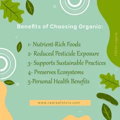 We believe in educating our community about the 'why' behind organic. Choosing organic means getting more nutrients, reducing pesticide exposure, and supporting farming that heals the earth.