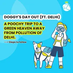 Here is how to plan the perfect doggy's day out. A poochy trip to a green heaven away from the pollution of Delhi is just a few steps away.