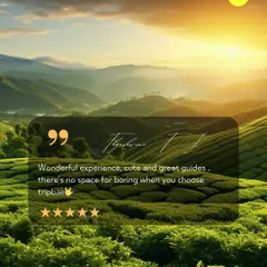"There's no space for boring when you choose Tripbae." We love this feedback. It shows our commitment to fun, guided adventures.