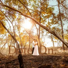 A breathtaking wide shot of a couple embracing in a forest with golden foliage. The 'Dote On' text overlay adds to the romantic, storybook feel of this stunning landscape portrait.