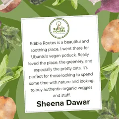 A lovely review from Sheena, who visited our farm for a vegan potluck. I am so glad she enjoyed the greenery, the organic veggies, and the company of our friendly farm cats.