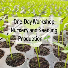 Join us to delve into the art of seedling production. Our one day workshop covers everything from nursery types and climate management to pest control.