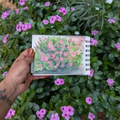 I love capturing my art right where it was inspired. This is a watercolor study of the beautiful periwinkle flowers I found, painted on the spot to capture their true colors.