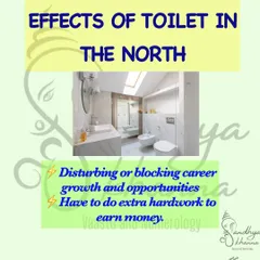 The North is the direction of career and opportunities. Having a toilet here can block your career growth and make you work extra hard for money. While a bathing area without a commode is acceptable, the toilet itself should be avoided in this zone.