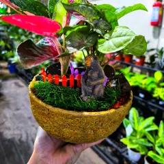 This stylish mini landscape tabletop arrangement is a thoughtful and sustainable gifting option. With unique designs and cute miniatures, they serve as eye-catching focal points.