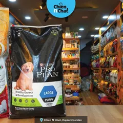 I carry large bags of premium puppy and adult food from brands like N&D and Purina Pro Plan. My store is fully stocked to meet the nutritional needs of growing pups and adult dogs.