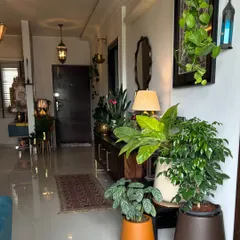 A wider view of the plant corner, showing how I've grouped different plants together to create a mini indoor garden.