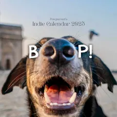 The cover of my 2025 "Boop!" charity calendar, featuring a joyful Indie dog. All proceeds from this calendar go towards helping street dogs in need.
