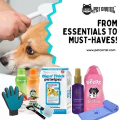 We've got all your grooming needs covered, from essentials to must-haves. This image showcases a variety of products including shampoos, wipes, brushes, and towels to keep your pet looking and feeling great.