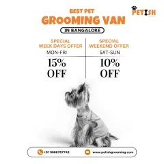 Don't miss out on my weekday and weekend offers. It's the perfect opportunity to book a premium grooming session at a discounted price.