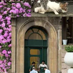 This collage captures the soft chaos of a Bombay street. A cat eating, florists at work, and a beautiful arched doorway all come together to tell a story of a typical afternoon.