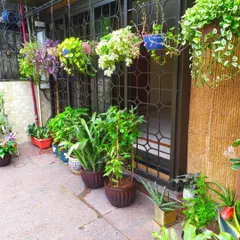 Hanging planters are a fantastic way to add greenery without using floor space. Here, I've installed a row of hanging baskets with trailing plants above a line of floor planters for a layered look.
