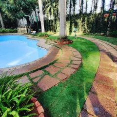 A closer look at the curved stone pathway and the fresh lawn. I make sure the grass grows in thickly, right up to the edges of the path and pool.